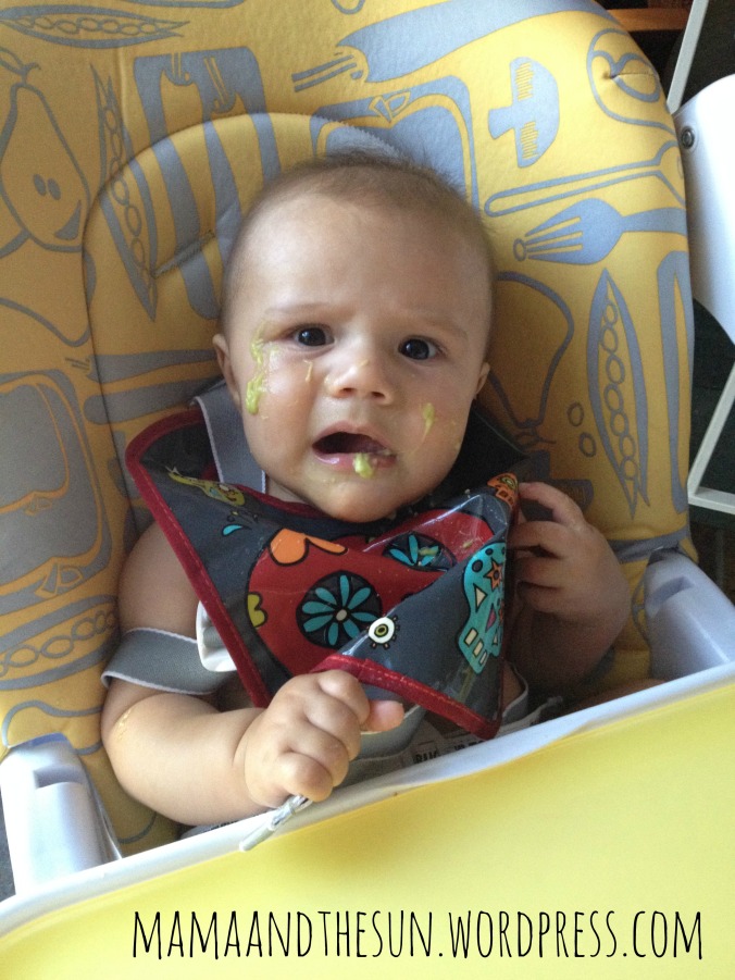 My little guy's reaction to avocado when we first started solids!