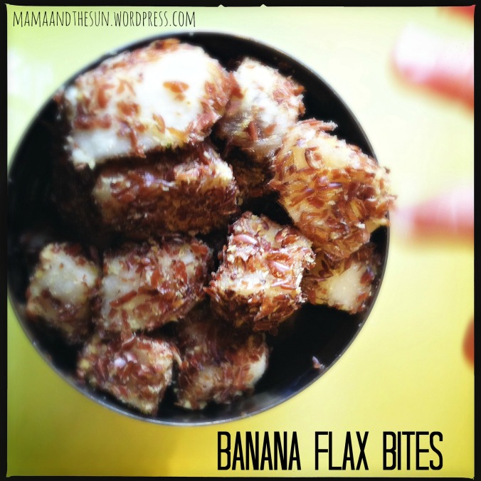 G just can't get enough Banana Flax Bites...can you tell? ;)