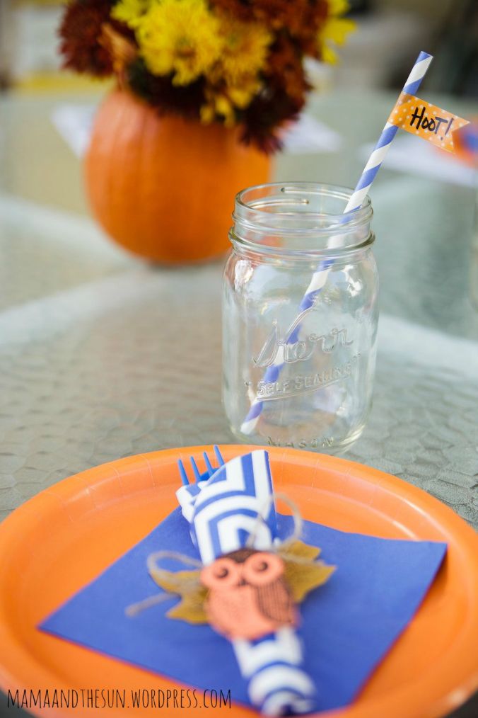 owl place setting